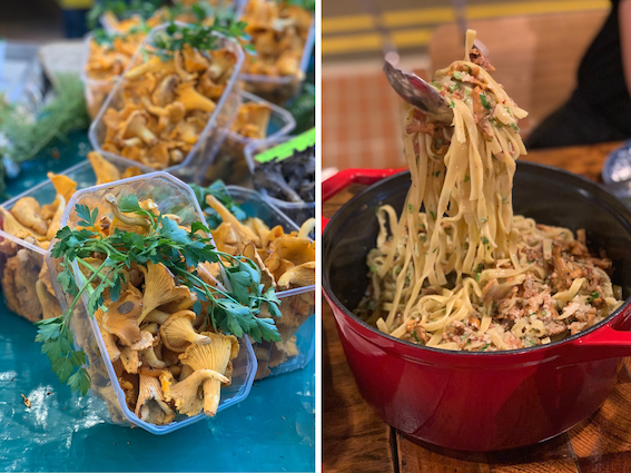 chanterelles.png