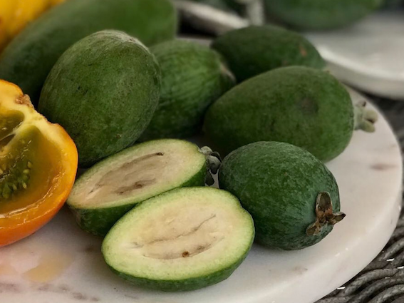 feijoas.png