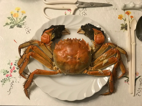 hairycrab.png