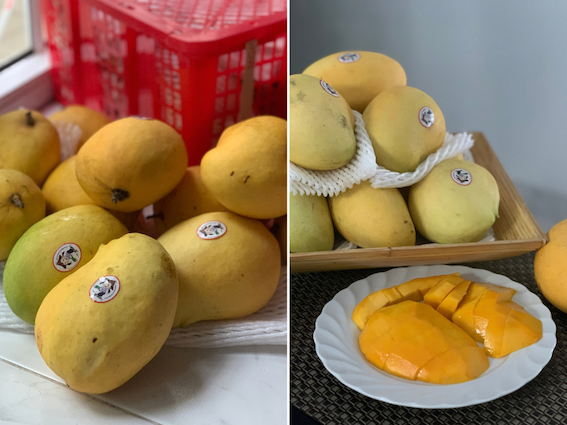 myanmarmangoes.png