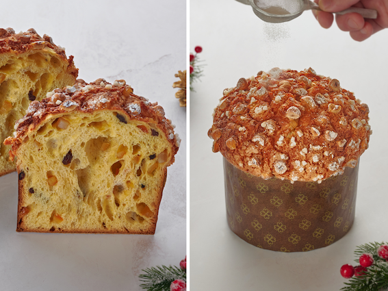 panettone.png