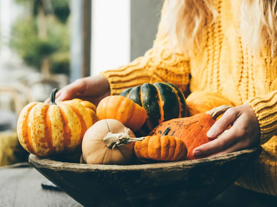 pumpkinsbbc.png