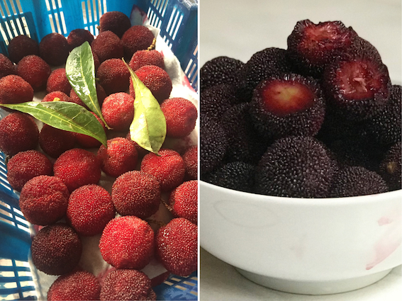 waxberries.png